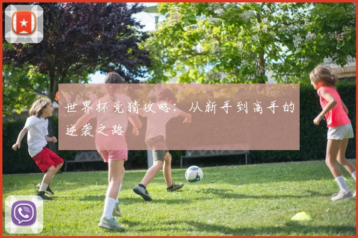 世界杯竞猜攻略：从新手到高手的逆袭之路