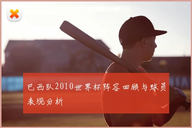 巴西队2010世界杯阵容回顾与球员表现分析