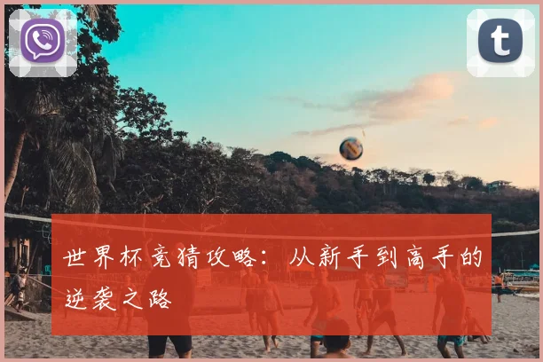 世界杯竞猜攻略:从新手到高手的逆袭之路