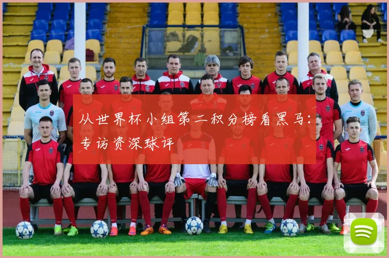 从世界杯小组第二积分榜看黑马:专访资深球评