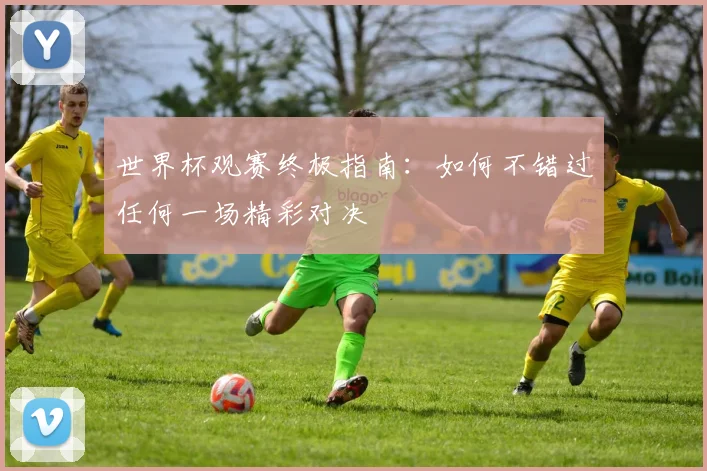 世界杯观赛终极指南：如何不错过任何一场精彩对决