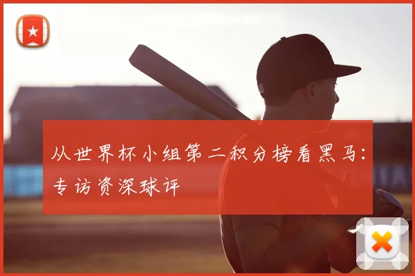 从世界杯小组第二积分榜看黑马:专访资深球评