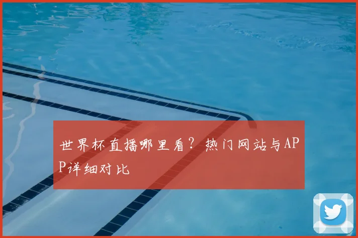 世界杯直播哪里看?热门网站与APP详细对比