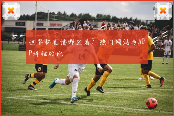 世界杯直播哪里看?热门网站与APP详细对比