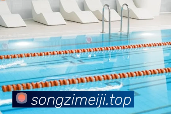 App Interface Preview